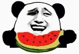 吃瓜群众放过娱乐圈吗